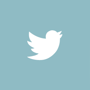 Twitter icon
