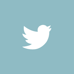 Little Notes Twitter icon